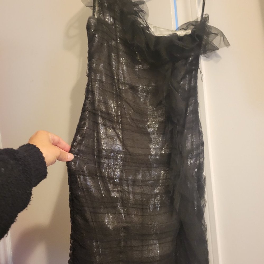 Black and Silver BCBG dress